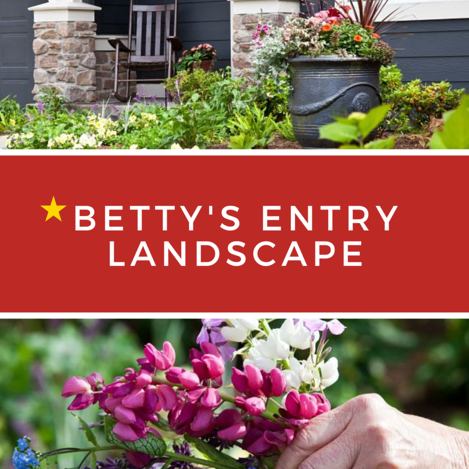 Betty's Entry Landscape