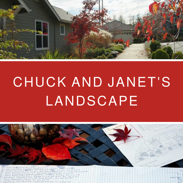 Chuck and Janet's Landscape