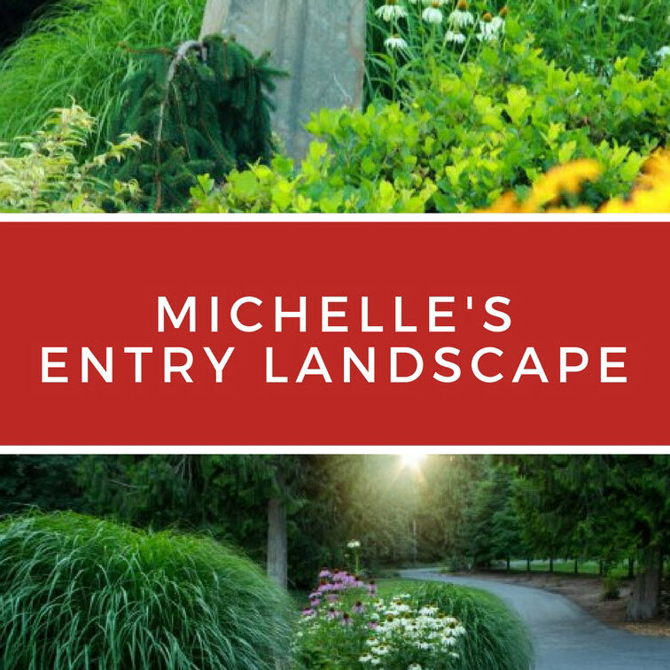michellsentry