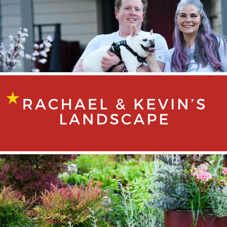 Rachael and Kevin’s Landscape (2)
